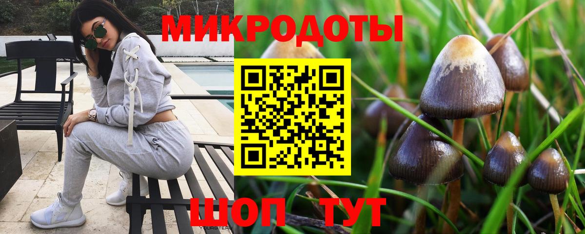 Псилоцибиновые грибы ЛСД  Вход с VPN  Тихорецк 